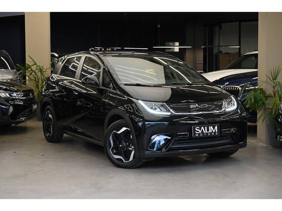 BYD DOLPHIN 44,9 KW ELÉTRICO